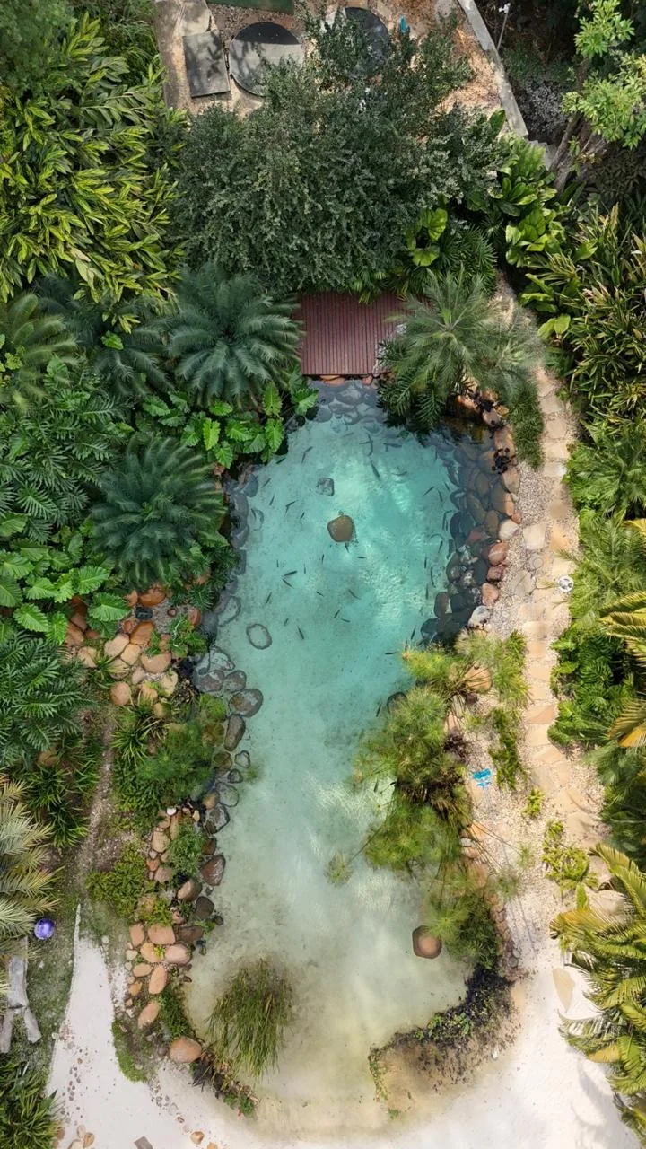 Lago ornamental visto de cima em jardim tropical